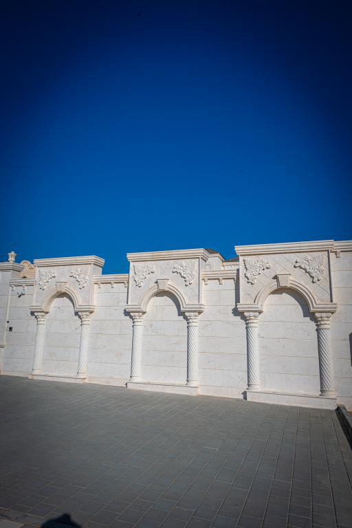 Ali Al Balushi (15)